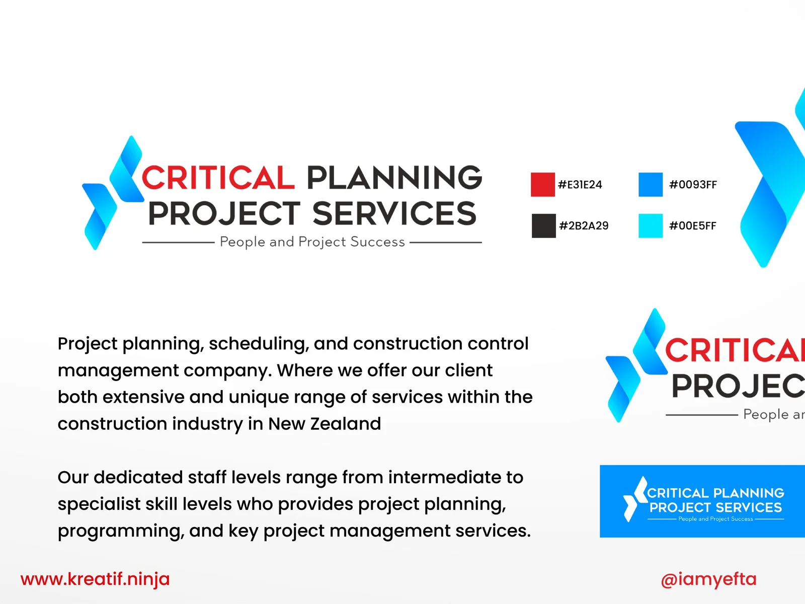 Critical Planning Project Services — image 1